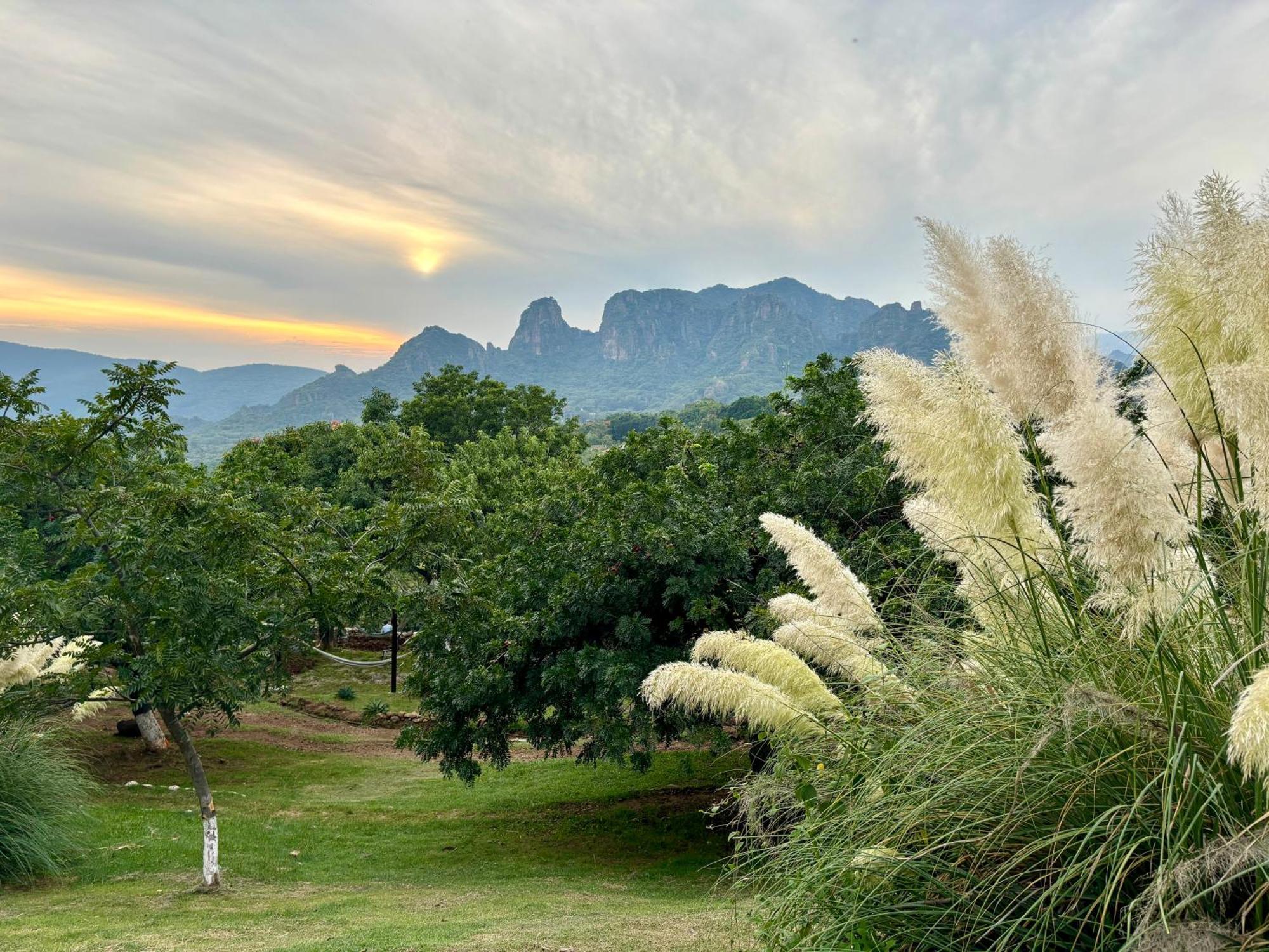 Amara Tepoztlan Villa Eksteriør billede