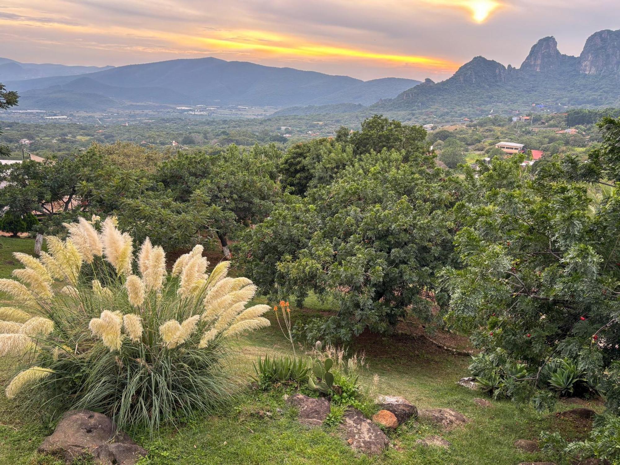 Amara Tepoztlan Villa Eksteriør billede